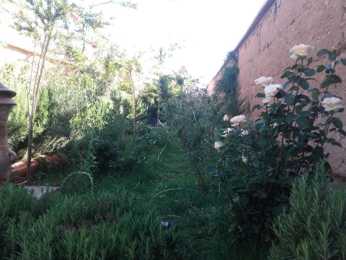 Auberge Toda Aït Igad Kültér fotó